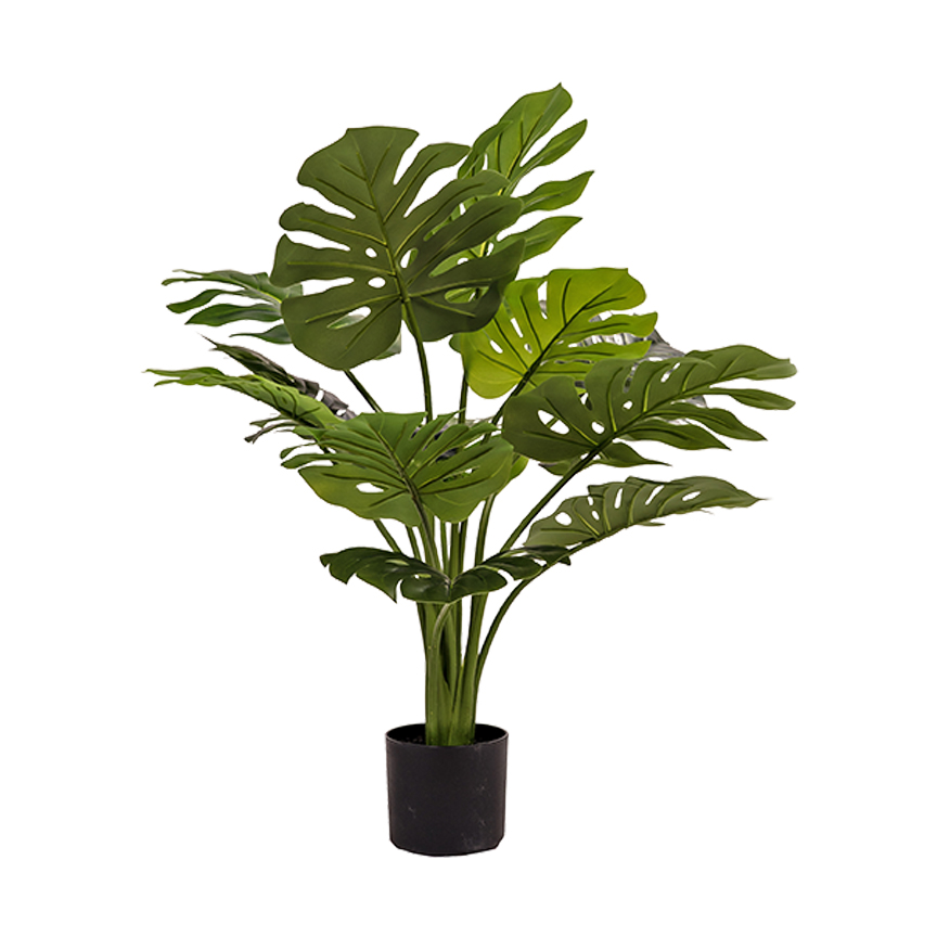 Monstera Plant - TL1060