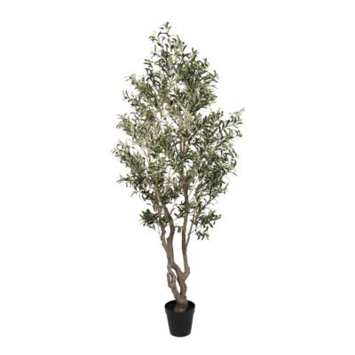 KD Olive Tree 9' - TL1061