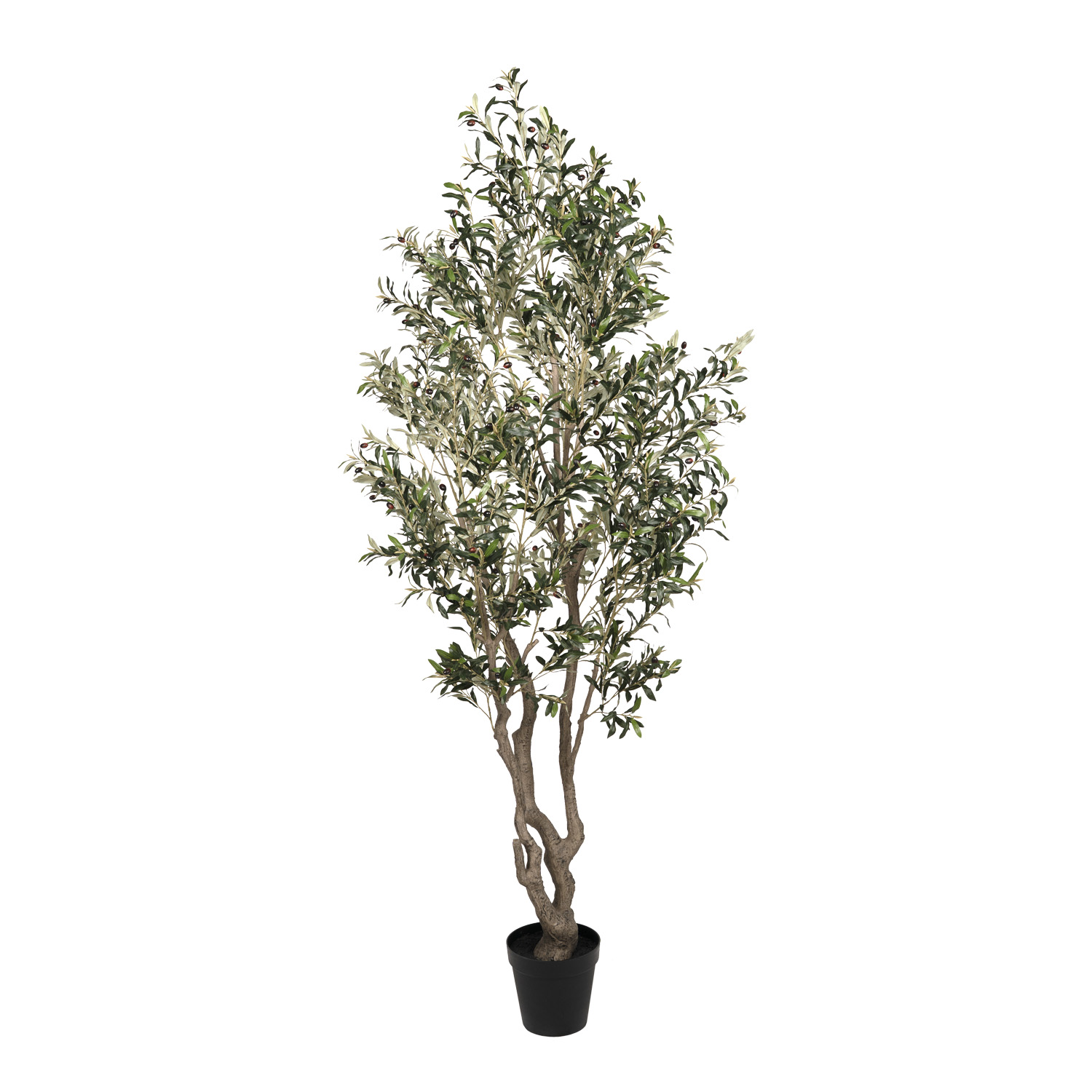 KD Olive Tree 9' - TL1061