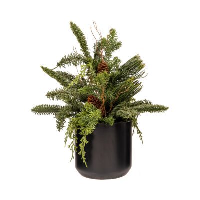 Cedar & Pine in Black Kendall Planter - 251000