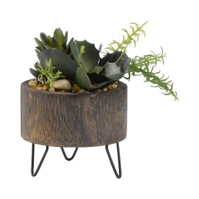 Assorted Succulents in Round Wooden Planter with Metal Legs - 189052