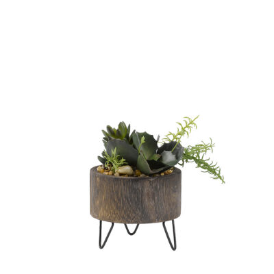 Assorted Succulents in Round Wooden Planter with Metal Legs - 189052