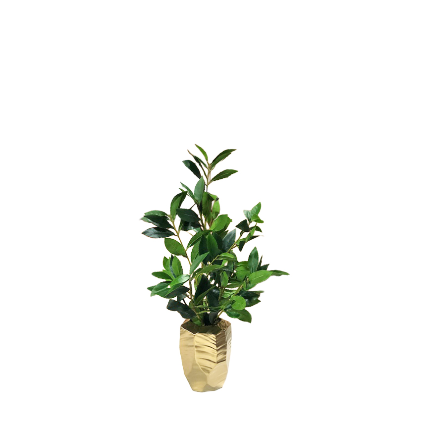 Bay Leaf Branches in Gold Ceramic Vase - 199070