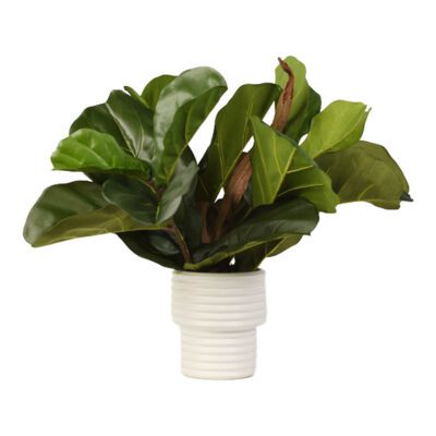 Fiddle Leaf Fig Branches with Ghostwood in Armonica Vase - 217070