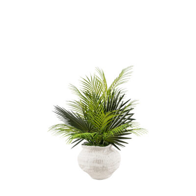 Areca Palm with Fan Palms in Clouded Clay Planter - 264004
