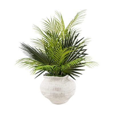 Areca Palm with Fan Palms in Clouded Clay Planter - 264004