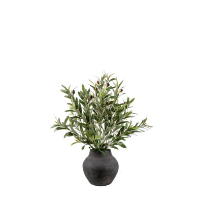 Olive Spray in Harvest Jar - 264005