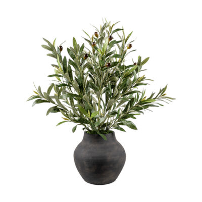 Olive Spray in Harvest Jar - 264005