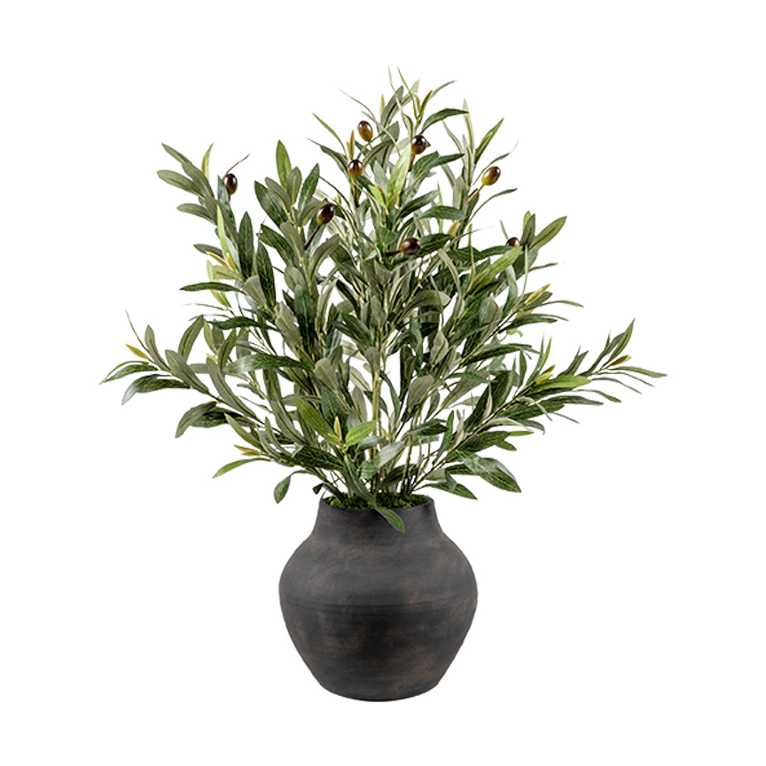 Olive Spray in Harvest Jar - 264005
