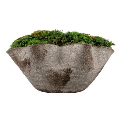 Mood Moss in Luna Bowl