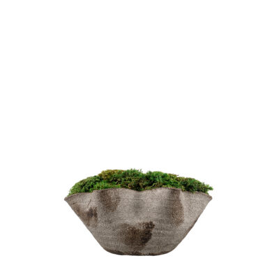 Mood Moss in Luna Bowl