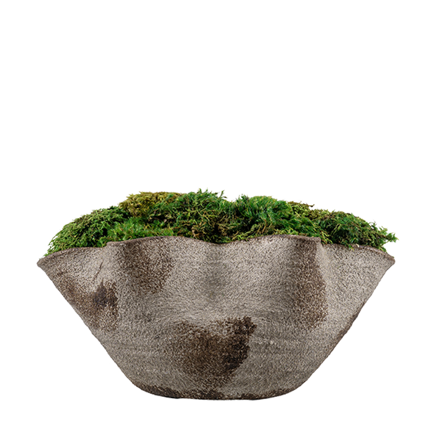 Mood Moss in Luna Bowl