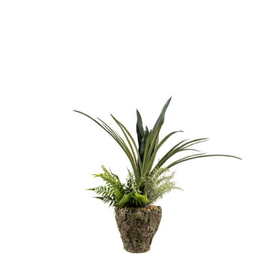 Dark Green Sansevieria, Areca Grass, Leather Fern & Rosemary in Ancient Grove Pot - 264008