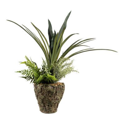 Dark Green Sansevieria, Areca Grass, Leather Fern & Rosemary in Ancient Grove Pot - 264008