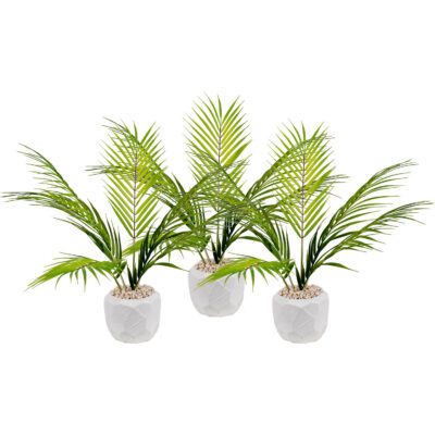 Areca Palms in Flintstone Planter - Set of 3 - 264013