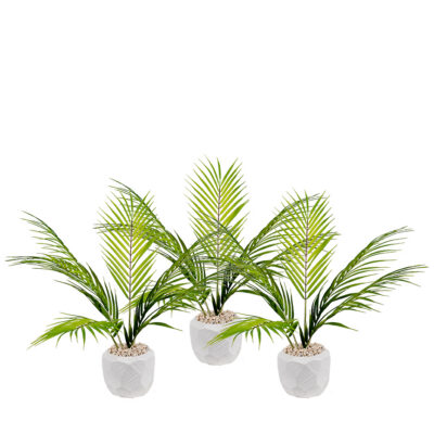 Areca Palms in Flintstone Planter (Set of 3) - 264013