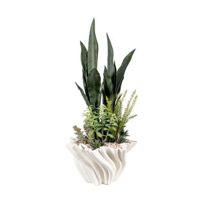 Dark Green Sansevieria, Heather Fern Bush & Assorted Succulents in Spiral Bloom Pot - 264017