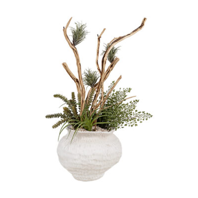 Assorted Succulents, Maiden Hair Fern & Tigerwood in Clouded Clay Planter - 264018