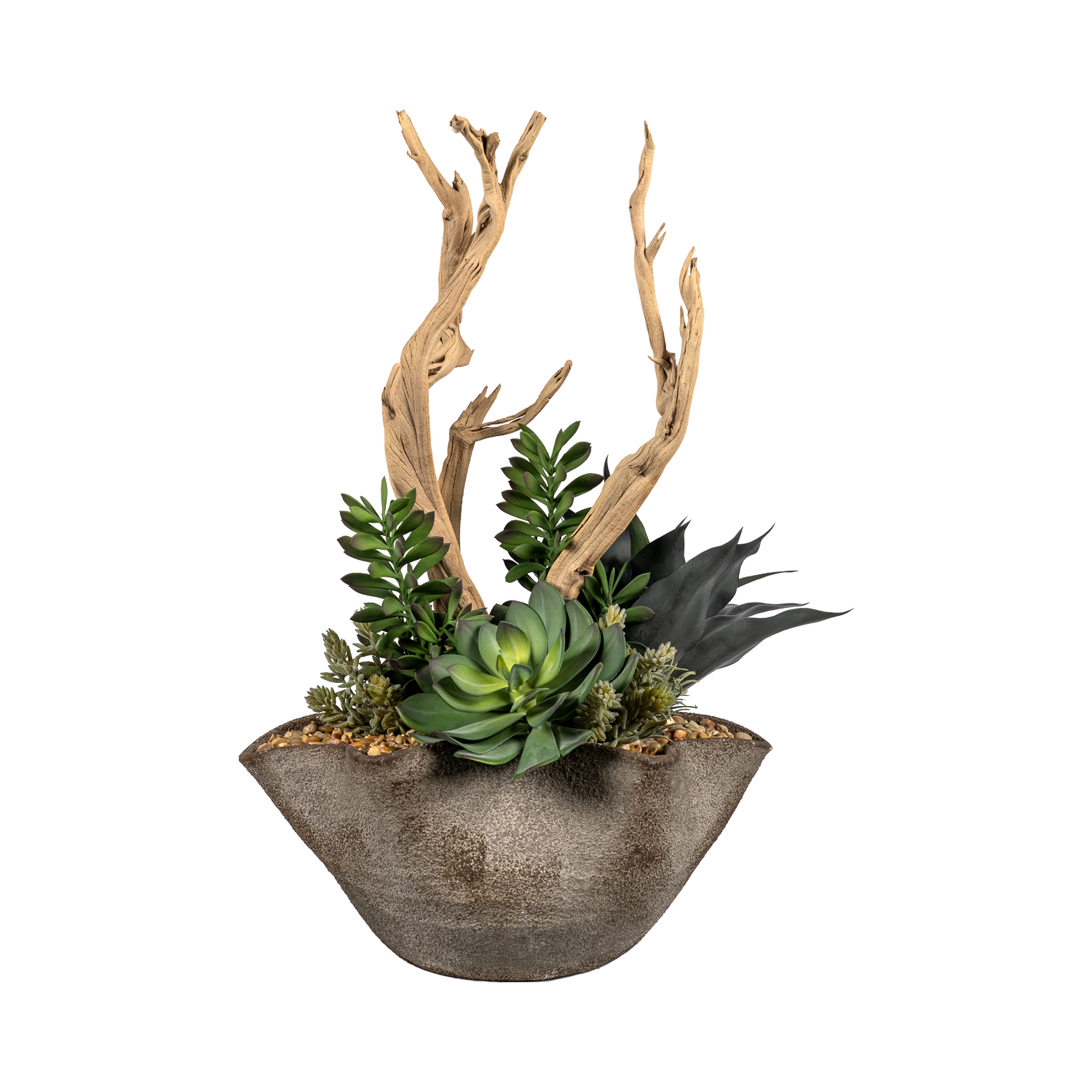 Ghostwood and Assorted Succulents in Luna Bowl - 264024