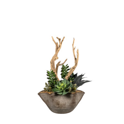 Assorted Succulents & Ghostwood in Luna Bowl - 264024