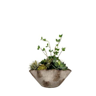 Assorted Succulents & Cherry Leaves in Luna Bowl - 264025