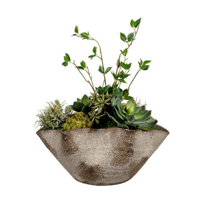 Assorted Succulents & Cherry Leaves in Luna Bowl - 264025