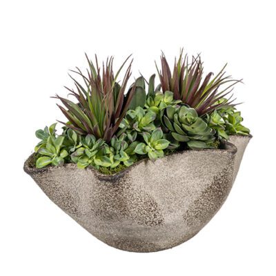 Pineapple Succulent, Star Flower & Echeverias in Luna Bowl - 264026