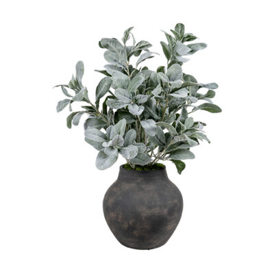 Lamb's Ear in Harvest Jar - 264028