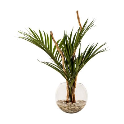 Kentia Palm & Tigerwood in Large Bubble Bowl - 264035