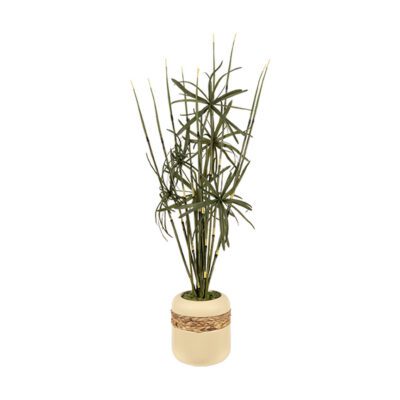 Horsetail Reed & Fern in Gemma Planter