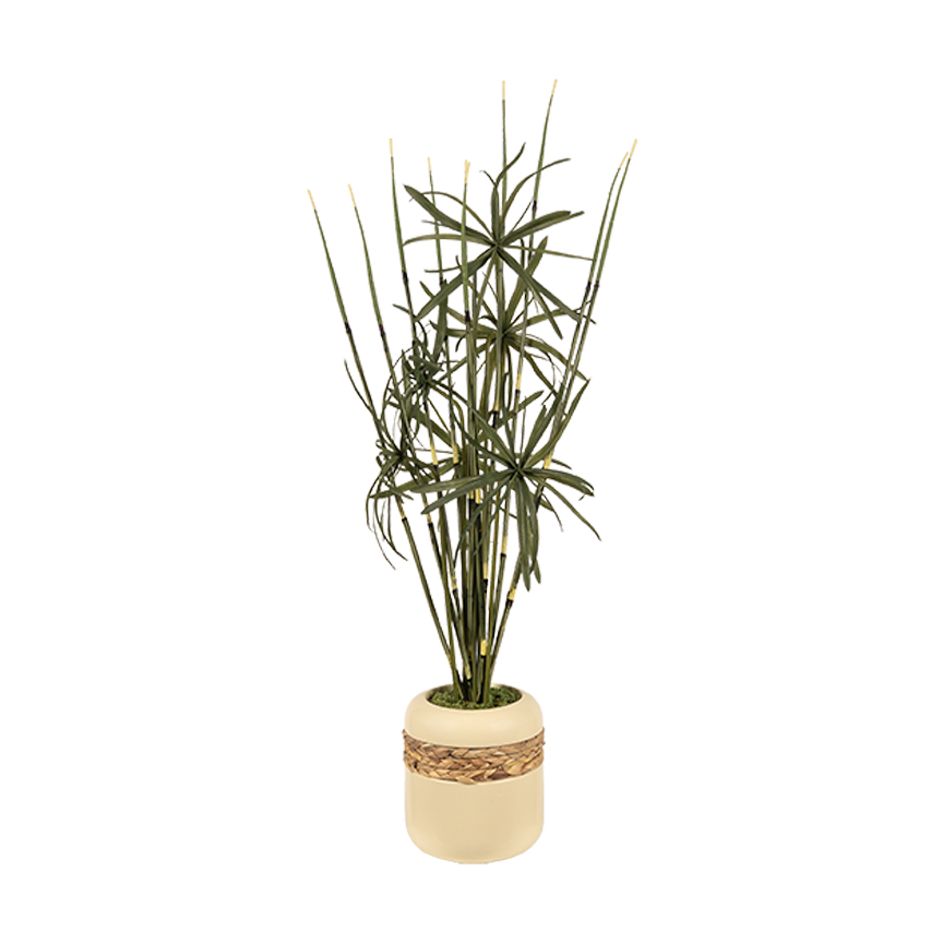 Horsetail Reed & Fern in Gemma Planter