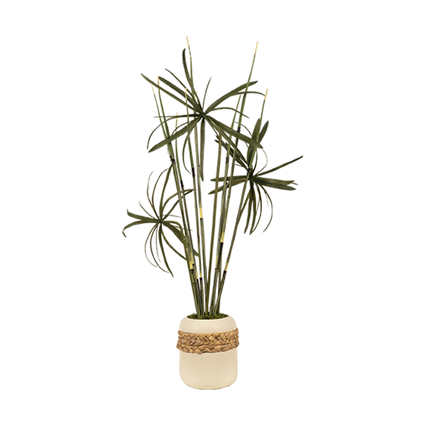 Horsetail Reed & Fern in Gemma Planter - Image 2