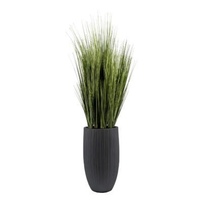 Two Tone Onion Grass in Nell Vase