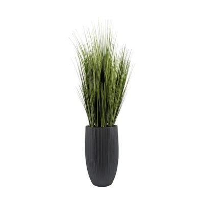 Two Tone Onion Grass in Nell Vase