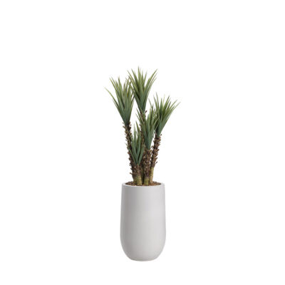 Yucca Tree in Quinn Planter 7'