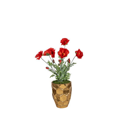 Red Poppies in Leonine Planter - 72630003