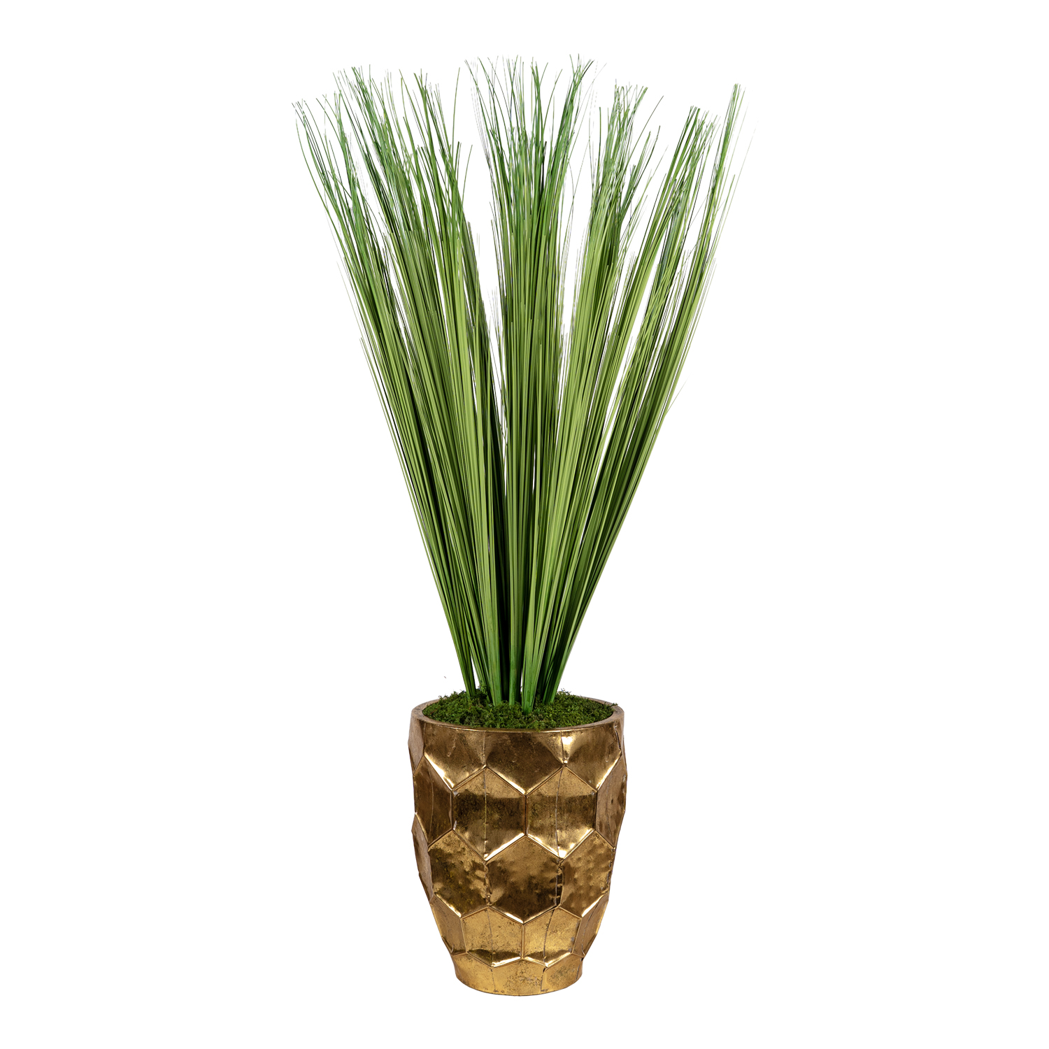 Green Onion Grass in Leonine Planter - 72630004