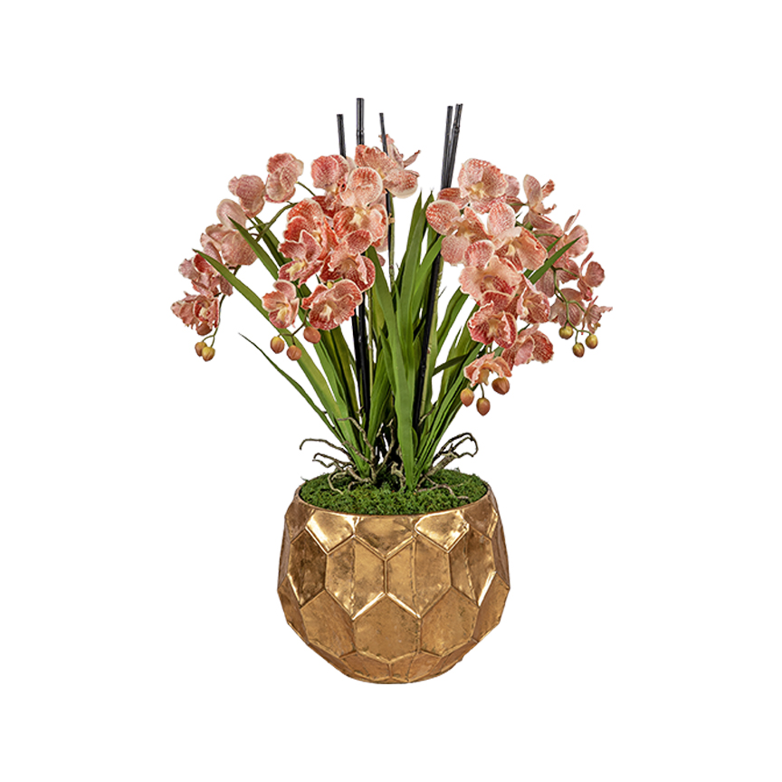 Red/Cream Vanda Orchids in Felix Planter - 72630005 - Image 2