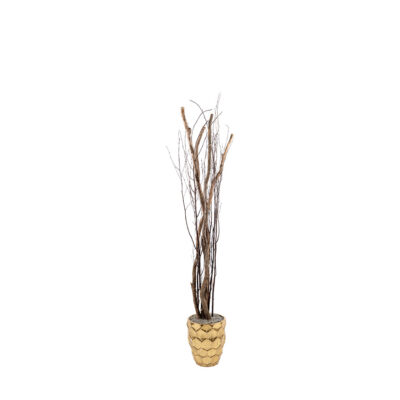 Dragonwood & Birch Poles in Leonine Planter - 72630006