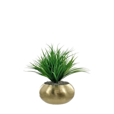 Yucca Grass in Rose Gold Bowl - 7264001