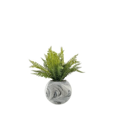 Fern Bundles in Marble Glass Bowl - 7264002