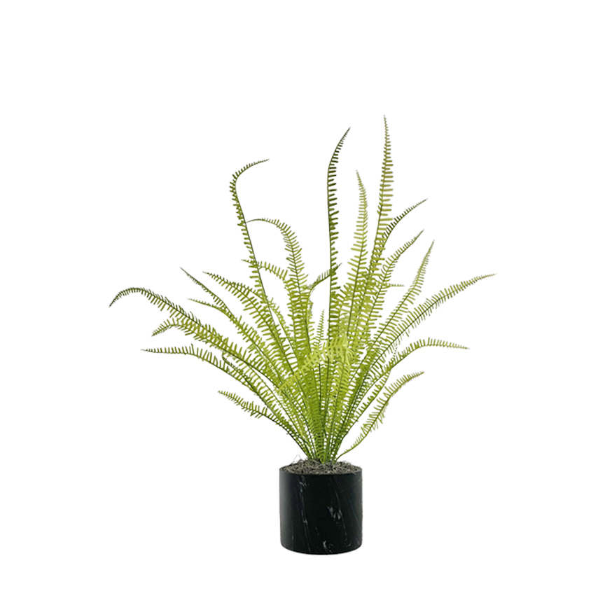Light Green Fern in Round Black Marble Planter - 7264006 - Image 2