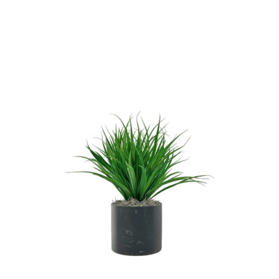 Yucca Grass in Round Black Marble Planter - 7264007