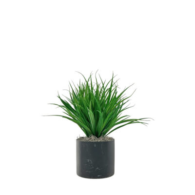 Yucca Grass in Round Black Marble Planter - 7264007