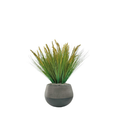 Onion Grass in Revolution Planter - 7264013