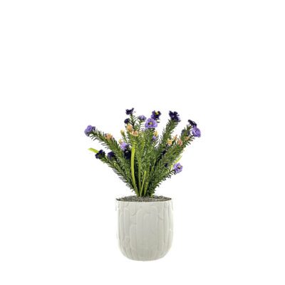 Lavender Wild Flowers in Winslow Pot - 7264015
