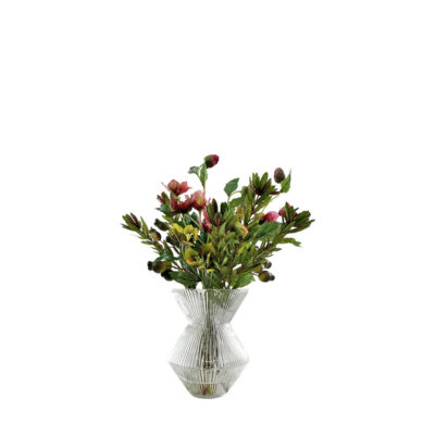 Wild Protea Spray & Helleborus Spray in Ribbed Hourglass Vase - 7264017