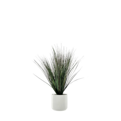 Brown/Green Grass in White Kendall Pot - 7264023