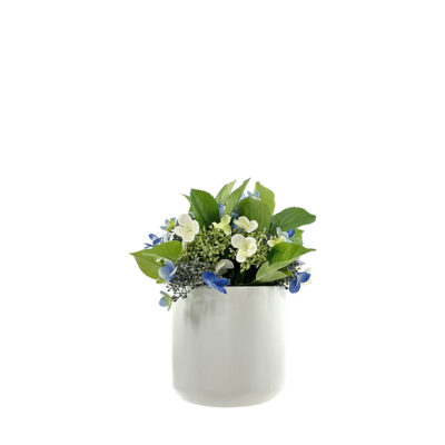 Blue/White Hydrangeas in White Kendall Pot - 7264024