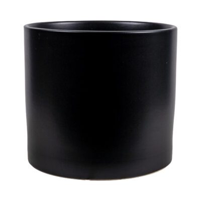 Circle Vase